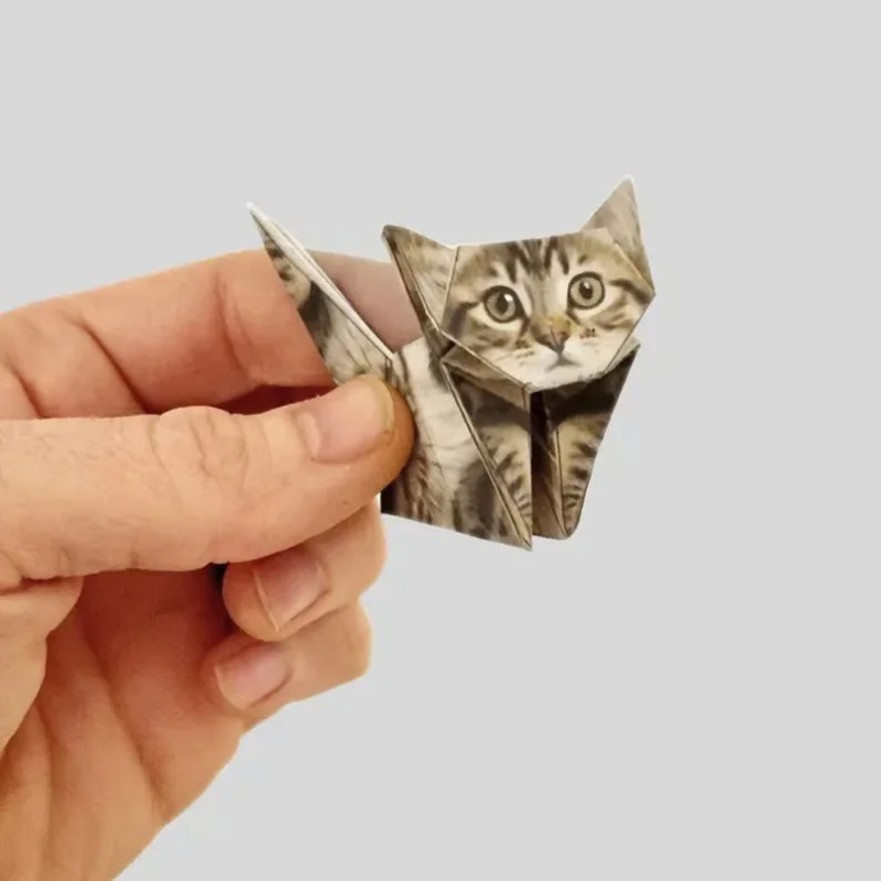 クリエイティブDIYペーパーキャット 50枚 DIY折り紙  - Art Craft Dinosaur のレビューと価格