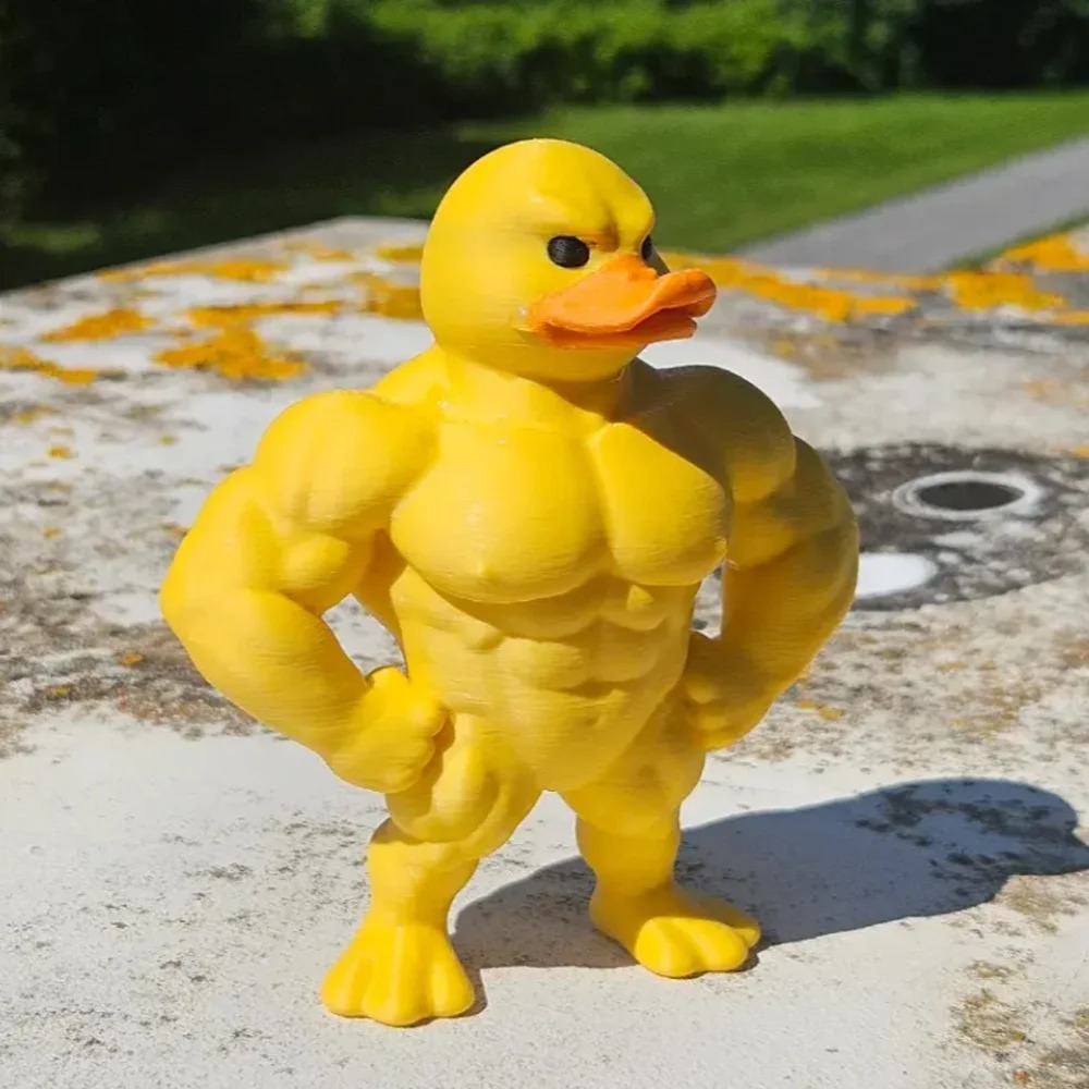 筋肉のあるアヒルの置物 - 3D デスクトップ装飾、かわいい - Art Craft Duck のレビューと価格